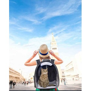 Backpack Carrier For Cats & Small Dogs